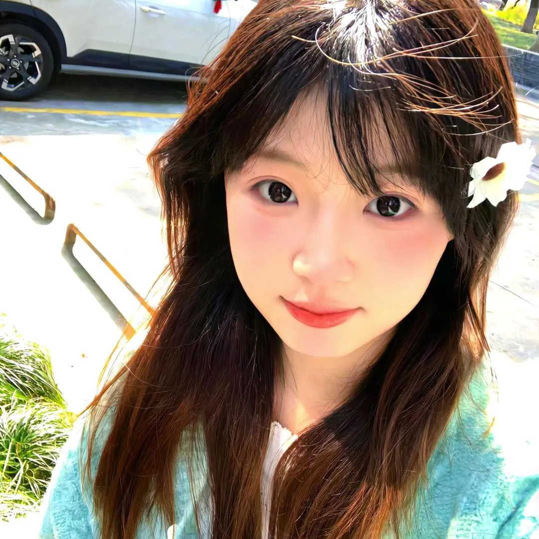 加奈日记封面