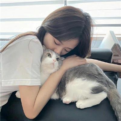 热血无赖封面